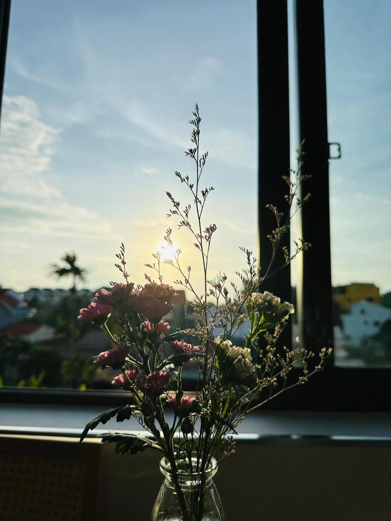 Mint Hoi An Villa מראה חיצוני תמונה